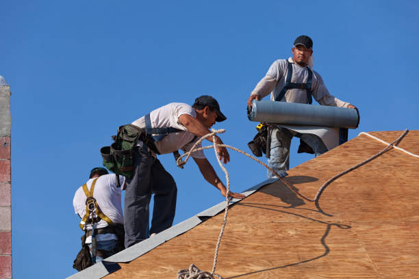 Best Residential Roof Replacement  in Hollywood Park, TX