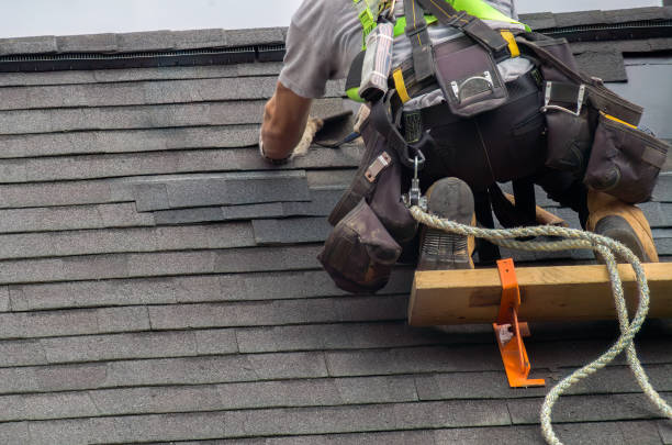 Quick and Trustworthy Emergency Roof Repair Services in Hollywood Park, TX