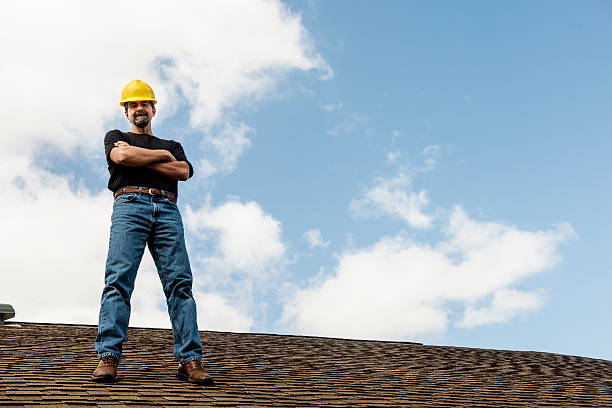 Best Metal Roofing Contractor  in Hollywood Park, TX