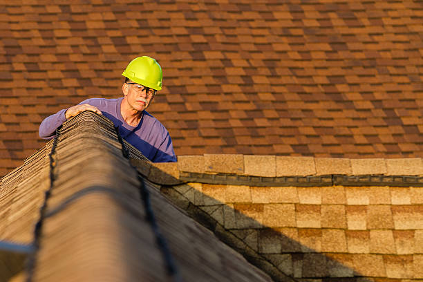 Best Gutter Installation and Roofing  in Hollywood Park, TX